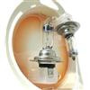 CARALL 2 Pezzi Lampade Alogene 12V Bianche ad Effetto Xenon (H7 12V 55W PX26d +50% Luminosita)