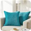 Topfinel Federe Cuscini Coperture Comode Ciniglia per Divano Decorativi Camera da Letto Cuscini Decorativi Casa Copricuscino Fodere per Cucina Sedia Soggiorno 2 Pezzi, 50x50 cm Turchese