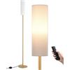 EDISHINE Lampada da Terra Soggiorno, LED Dimmerabile con Telecomando, Oro | Lampadina LED E27 9 W Inclusa, Telecomando Magnetico, 3 Temperature di Colore 3000 K-6000 K, per Camera, 165 cm