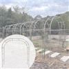 Generic Arco Per Rose In Metallo Per Rampicanti | Arco Da Giardino Decorationi | Larghezza Regolabile | Resistente | Per Eventi Matrimoni Viali(3.5 * 2.40m(11 * 7.9ft))