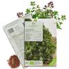 growgreens Semi di maggiorana biologiche - Semi di erbe aromatiche da coltivare in cucina, sul balcone, sul orto rialzato e in giardino