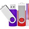 TEWENE Set di 2 Chiavette USB 2.0 Rotanti con Tracolla Portachiavi - Ottimo Regalo per Bambini, Genitori ed Amici (2G, Rouge / Viola)