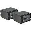 vhbw 2x batteria compatibile con Panasonic NV-DA1, CGR-D16S, NV-DS1, NV-DA1B, NV-DS12, NV-DS11 videocamera camcorder (3200mAh, 7,2V, Li-Ion)