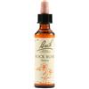 Fiori di bach Schwabe Fiori di Bach 26 Rock Rose Gocce 20 ml
