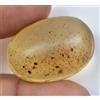 Gemsmyriad 100% Naturale Tanzania Giallo Ambra 19.45 CT Non Trattati Certificato S Insetto