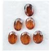 gemsmyriad 6 Pz Di Garnet Hessonite Arancione Naturale 20.60 CT Gemma Taglio Ovale Sciolta