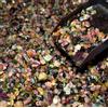 500 CT Naturale Srilankan Multicolore Tormalina Gemma Grezzo Lotto