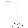 EasegantEl Lampada d'ingrandimento, LED lampada da scrivania a unghie, ingrandimento 5x, lente in vetro 125 mm, con base girevole a 5 ruote, design regolabile a 360°, ideale per salone per unghie, fai