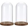 TOLIDA 2 cupole in vetro con base in legno naturale, robuste, decorative, per lampade e rose, decorazioni antiquariato per Natale, compleanni, San Valentino