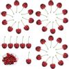 XIANGJIEU 36 Pezzi Ciliegie Artificiali Modello di Ciliegie Rosse Nere Finte Ciliegie Realistiche in Plastica per Decorazione del partito del Ristorante Della Tavola della Cucina
