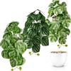 PASCH® Set di 3 piante artificiali sospese: piante artificiali come reali, piante artificiali da appendere, pianta artificiale sospesa, con vaso (Urban-Jungle Set, 26 cm)