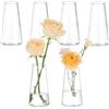 Hewory Vaso Vetro Trasparente per Matrimonio: 6 Vaso Fiori Vaso Decorativo da Interno per Centrotavola - Vaso Moderno Vasetti Vetro Piccoli per Fiori Centro Tavola Bomboniere Casa Soggiorno Wedding
