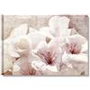 Quadri L&C ITALIA Fiori Vintage 15 - Quadro Shabby Chic con Fiori Rosa Bianchi per Soggiorno Moderno Camera da Letto Salotto Cucina 70 x 50 Stampa su Tela Canvas da Parete