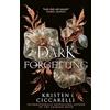Magpie Books A Dark Forgetting: a sweeping romantasy from the author of global bestseller THE CRIMSON MOTH
