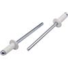 SKIR'CO 20 rivetti ciechi verniciati, 4,0 x 8 mm, in alluminio, DIN 7337, con testa a cupola, mandrino in acciaio, rivetti pop (bianco puro RAL 9010)