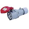 ZOREI Presa Industriale CEE 4 Poli, 16A 6H 380V 3P+T IP44