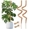 Haoledy Sostegno per Piante 120cm, Bastone per Piante Rampicanti Pieghevole, Supporto per Piante Monstera Fibra di Cocco per Piante Anima in Alluminio 7 mm, con 2 Pezzi Corda di Luta 2 m (2 Pezzi)