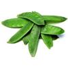 Generic Portal Cool Piselli Oregon Zucchero Pod, Mange-Tout, ca. 300 Semi