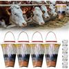 PLLYPE Set di 4 trappole per mosche per esterni, per zanzare, api, mosche