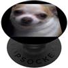 Dog Meme Funny Cute Humor Art (Chihuahua Divertente chihuahua viso sfocato meme carino cane tema PopSockets PopGrip Adesivo