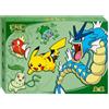 BB-Toy-Trades Pacchetto di BB-Toy-Trades Toploader & Pokemon Barca Drago Festival Box 2026 - Collezione cinese