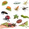 JOKFEICE 12 giocattoli per insetti, ciclo di vita in plastica di libellula, coccinella e Samia Cynthia, statuette di insetti, giocattoli educativi precoci, progetti scientifici, regalo di Natale e