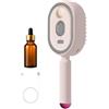Lbaote Spazzola Che Liscia I Capelli Con Vapore, Piastra Spazzola A Vapore Per Capelli, Spazzolas Lisciante Vapores Senza Fili, Lisciatrice Ricaricabile AntiCrespo, Con Pettine Distributore Olio, Olio