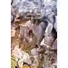 DC Comics Fables: The Deluxe Edition Book Six