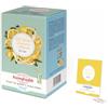 Buonefredde | Tè Verde Zenzero Limone Infusione Acqua Fredda | Tè Freddo Agrumato Note Speziate Bevanda Dissetante Rinfrescante - 20 Filtri (36 Gr)