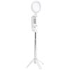 Huairdum Treppiede Estensibile per Selfie Stick con Telecomando Wireless Bluetooth e Luce di Riempimento a LED, Supporto a 4 Piedi per Vlog, Fotografia Telefonica, Streaming Live, Batteria Inclusa