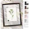 Bildershop-24 Telaio in vetro doppio con doppi vetri, Prio in Oro nero antico 40x50cm con vetro acrilico, cornice per quadri con doppi vetri
