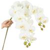 DODXIAOBEUL 2 steli di orchidee artificiali, realistici al tatto, in lattice, 96 cm, rami di orchidea artificiale, 9 teste, fiori finti Phalaenopsis per feste di nozze, decorazione per la casa e il