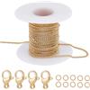 Beebeecraft 1 Scatola 16 Piedi 5M Catene A Graffetta Placcato Oro 18K Texture Ovale Collana A Maglia Grossa con 20 Pezzi Chiusure Ad Artiglio di Aragosta 50 Pezzi Anelli di Salto per Creazione di