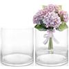 ZOFUN 2 vasi in vetro grandi da 20 cm, cilindri, rotondi, cilindri, piccoli vasi per decorazione da tavolo, rose, tulipani, erba della pampa, decorazione da tavolo, candele, ecc