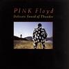 SONY MUSIC Delicate Sound of Thunder-Live