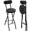 DAOHHFO Set di 2 sgabelli da bar pieghevoli, portatili, per esterni, imbottiti con schienale, sgabello pieghevole per bar, cucina, portata 125 kg, altezza seduta 65 cm