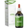 NEEM OLIO 100ML FOGLIE