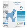 DITE SMALL 20BUST 2,5G