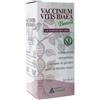 VACCINIUM VITIS IDAEA GEMM50ML