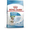 Generico Mini Starter Cibo per Cani, Madre e Cucciolo 1-2 Mesi, Peso Adulto fino a 10 kg, 1 confezione da 8 kg