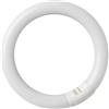 EcoPrice Tubo Circolare Fluorescente 22W 1200lm 6500K T9 EcoPrice