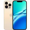 iPhone 13 Pro Max Ricondizionato - oro - 128gb - accettabile