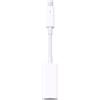 AIHDBCL Compatibile con Thunderbolt 2 3, adattatore RJ45 Fire 1394B FireWire 800 adatto for computer Mac dotati di porta(2)