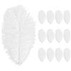 Anseom 12 piume di struzzo naturali da 20,3-25,4 cm, piume di struzzo per matrimoni, cucito, artigianato, costumi, feste a tema, decorazioni natalizie (bianco)