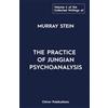 Chiron Publication The Collected Writings Of Murray Stein Volume 4: The Practice of Jungian Psychoanalysis