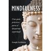 SIRIO antenne Mindfulness: Una Guia Practica Para El Despertar Espiritual / a Practical Guide to Awakening
