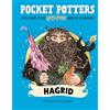 Scholastic Pocket Potters: Hagrid (Little Guides to the Harry Potter Books #6)