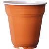 CAPSULE CAFFE COMPATIBILI Bicchieri in Plastica Colorati Lex Terracotta 165 cc - Scatola da 3000 pz