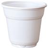 CAPSULE CAFFE COMPATIBILI Bicchieri in Plastica Bianchi 88 cc- Scatola da 4200 pz