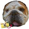 LolaPix Cuscino rotondo personalizzato con foto, regali personalizzati originali. Stampa 100% su entrambi i lati. Imbottitura inclusa. Varie dimensioni. 35 x 35 cm